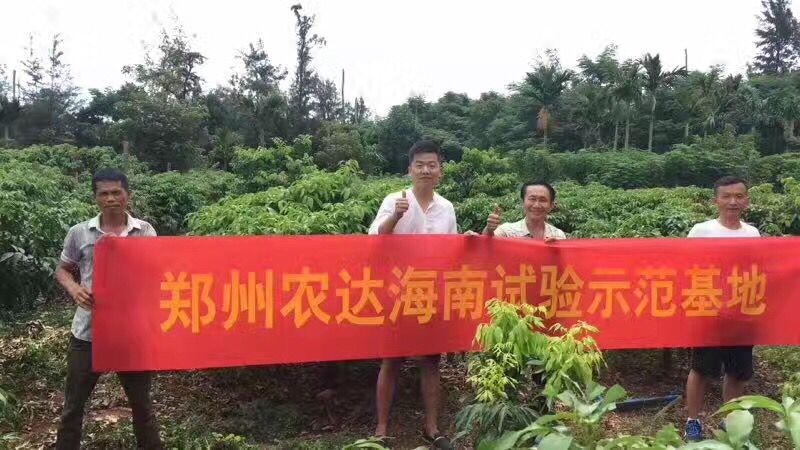 郑州农达生化高山青海南VIP客（kè）户答谢会(图3)