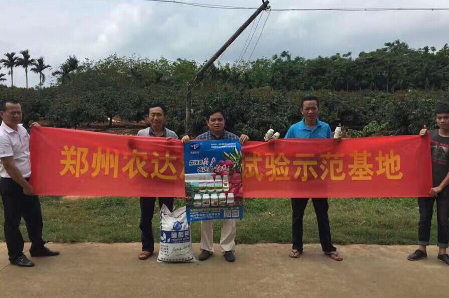 郑州农达（dá）生化（huà）高山青（qīng）海南VIP客（kè）户答谢（xiè）会(图5)