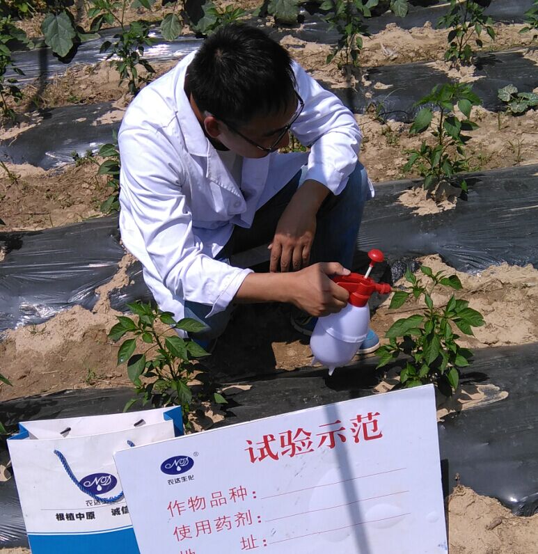 4%赤黴酸乳油在辣（là）椒上的藥效試驗(圖1)