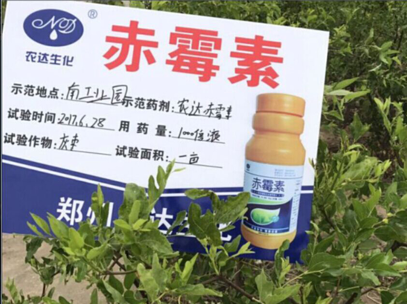 羞羞视频赤（chì）黴素在灰棗（zǎo）上的坐果試驗(圖2)