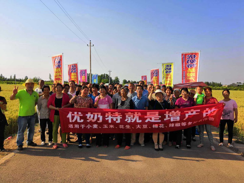 优奶特（tè）现场测产观摩会(图4)
