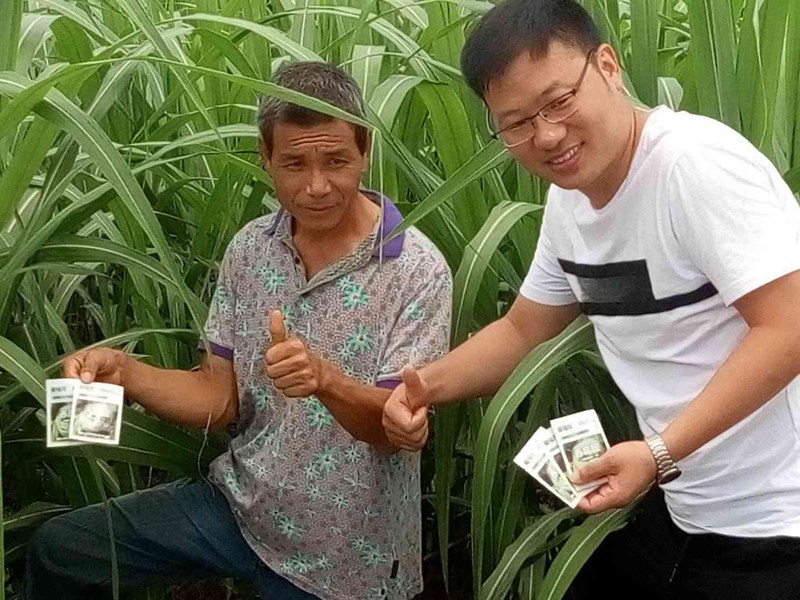 翁（wēng）源地天泰（tài）農（nóng）資“羞羞视频20%赤黴酸可溶性粉劑”上市會(圖3)