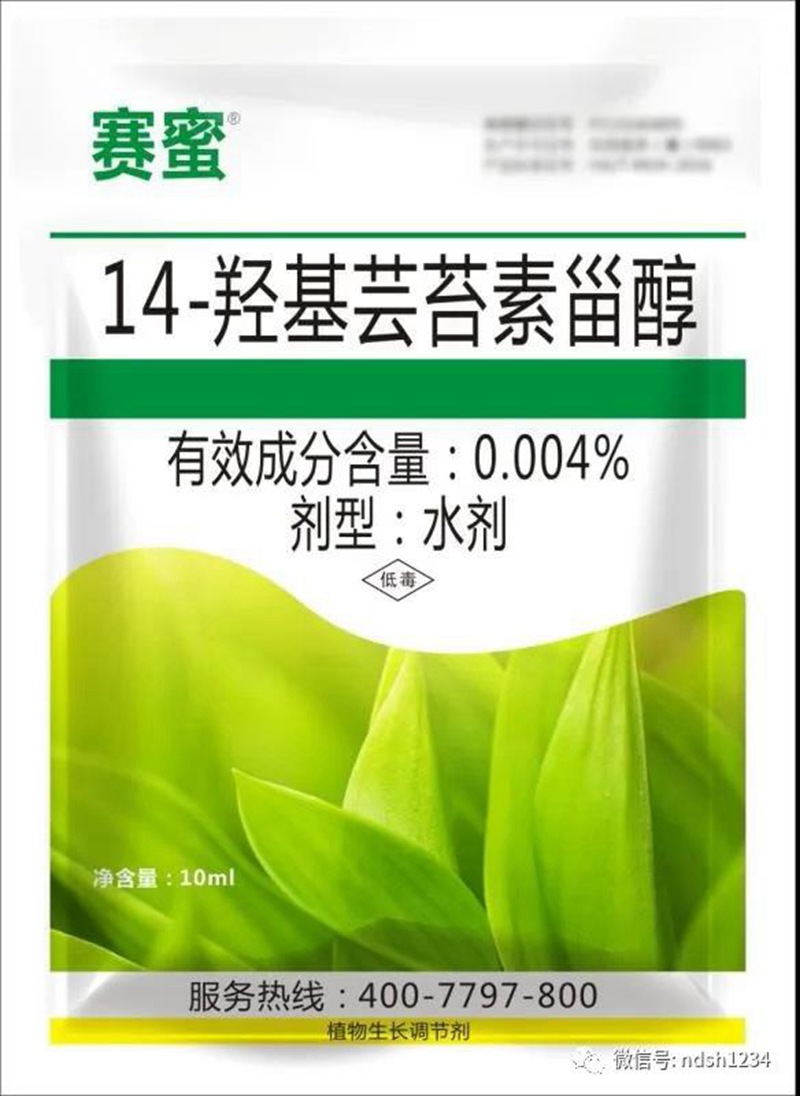 我公司參加澠池（chí）縣（xiàn）花椒春季管理與病蟲害（hài）防治技術培訓會(圖4)