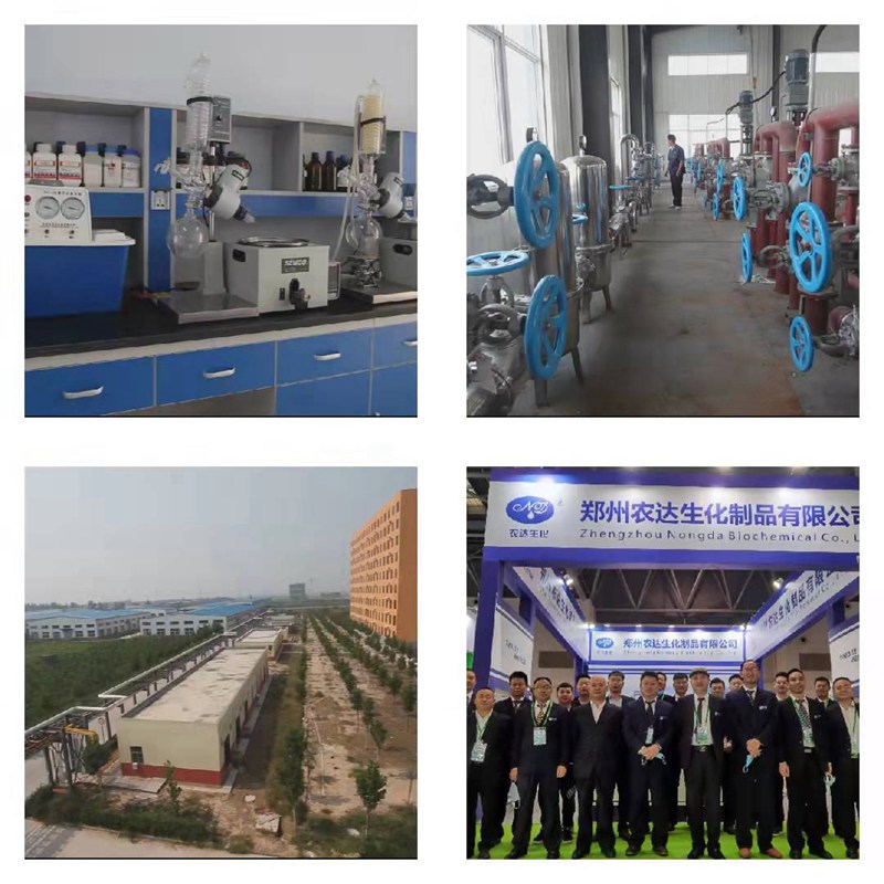 喜訊來襲！農（nóng）達生（shēng）化（huà）再獲農（nóng）業部公示農藥登記證！(圖3)