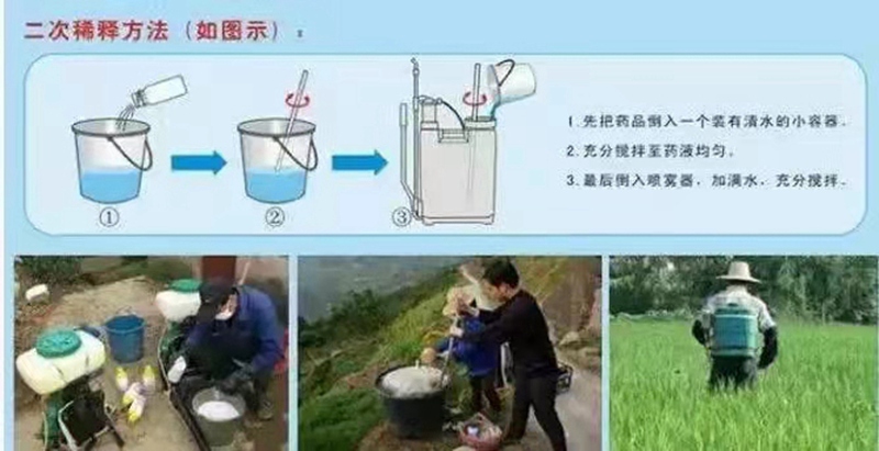 怎樣提高農（nóng）藥利用率？(圖1)