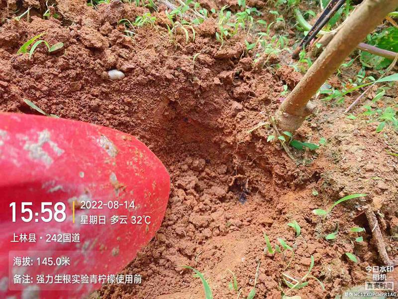 羞羞视频生根產品試驗(圖2)