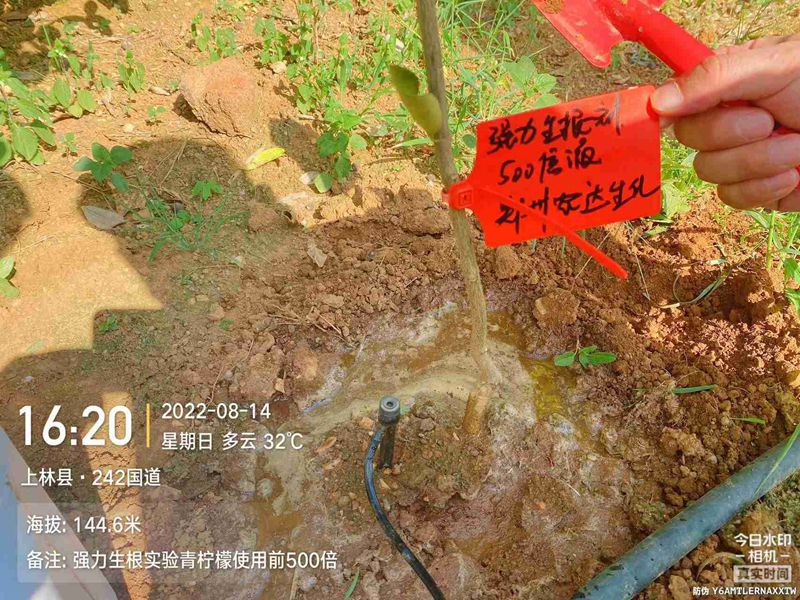 羞羞视频生根產品試驗(圖3)