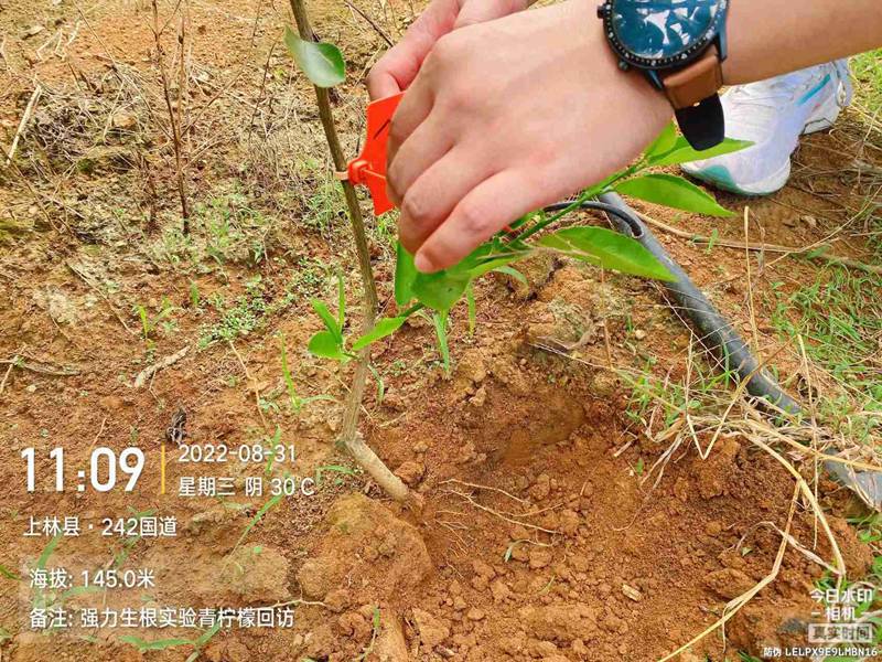 羞羞视频（dá）生根產品試驗(圖4)