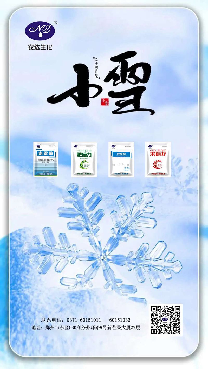 今日小雪(圖1) 今日小雪(圖1)