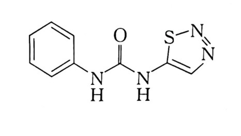 噻苯（běn）隆(圖2)
