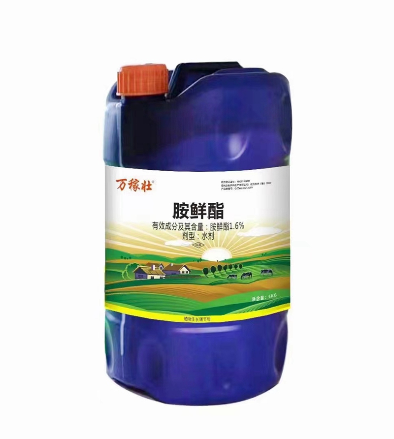 1.6%胺（àn）鲜酯(图（tú）1)