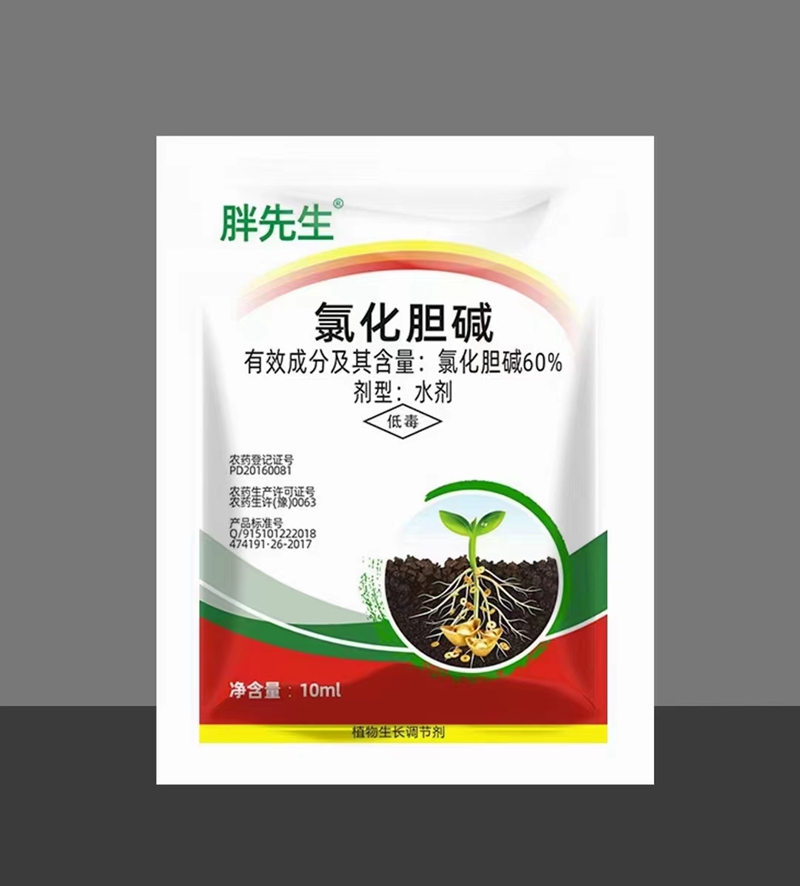 氯（lǜ）化膽堿