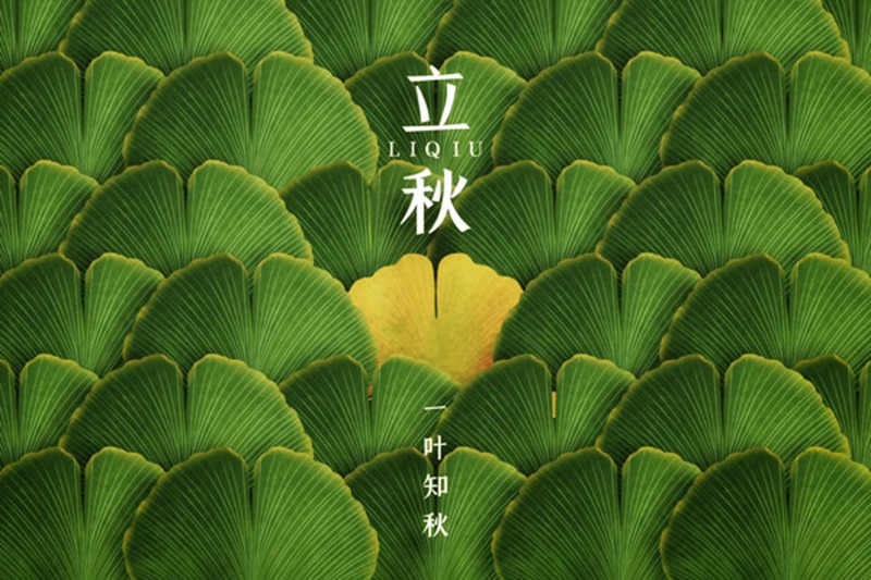 今日立秋(圖2) 今日立秋(圖2)