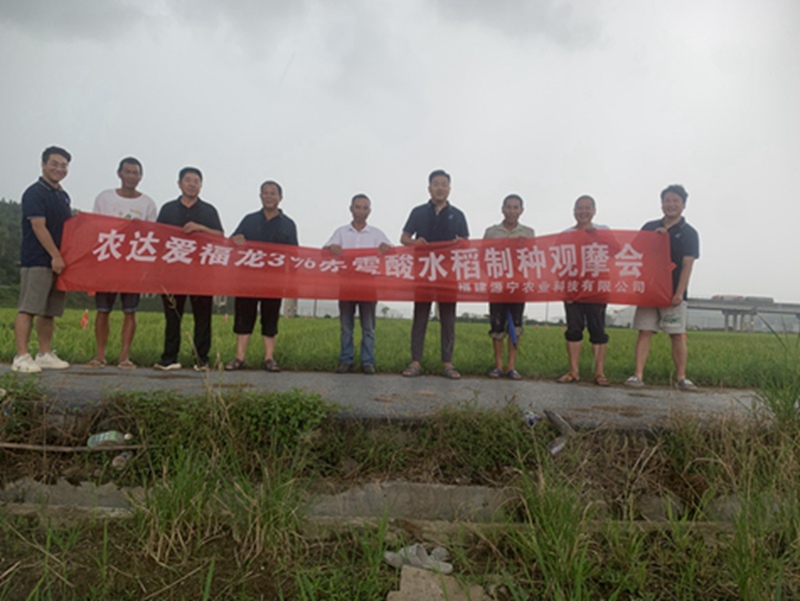 羞羞视频製劑部開展水稻製種啟動會(圖（tú）1)