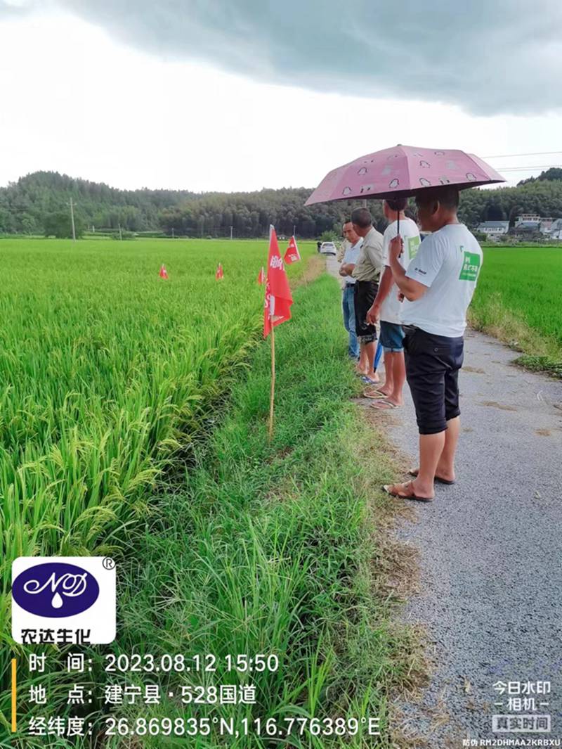 農（nóng）達製劑部開展水稻製種啟動（dòng）會(圖2)