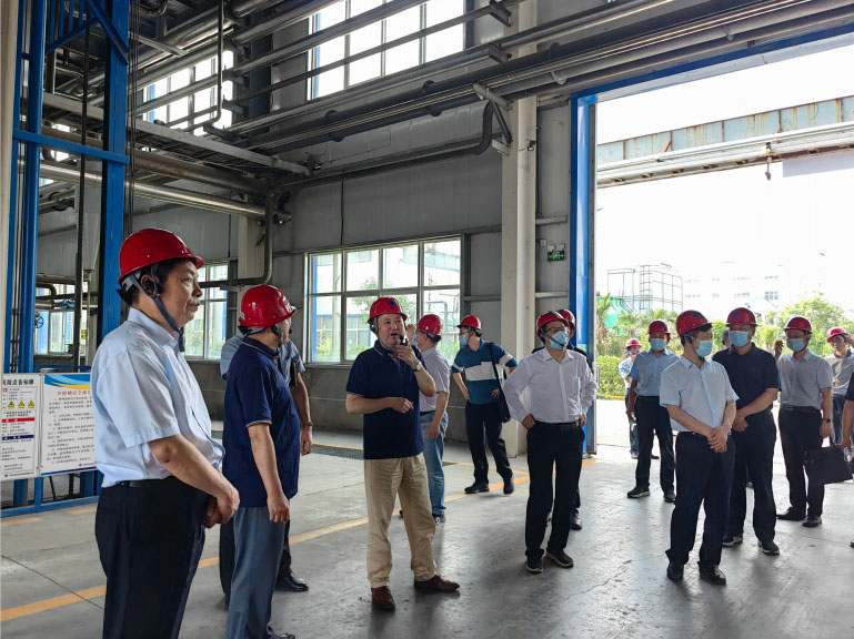 農業農（nóng）村部農藥檢定所領導蒞臨公司孟州（zhōu）廠調研（yán）(圖2)