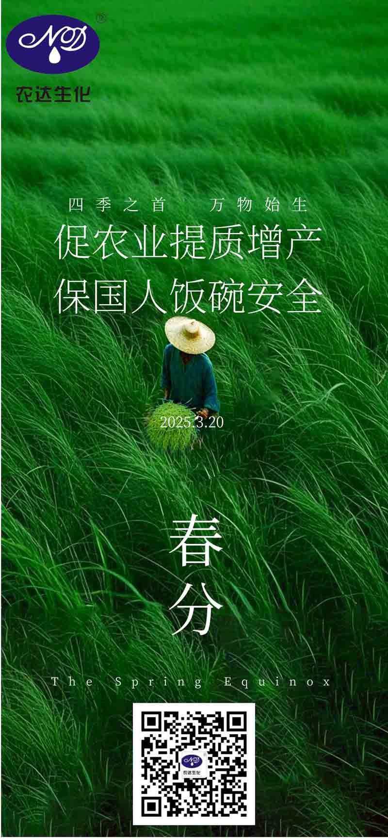 今日（rì）春分(图1)