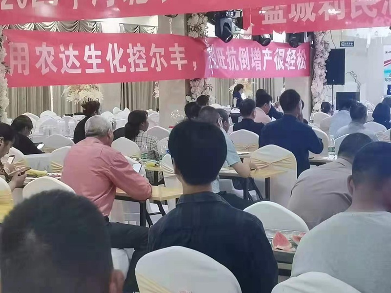 2021羞羞视频控爾豐--泗洪啟動會順利召（zhào）開(圖1)