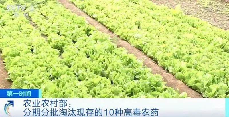 農業農村部:3年內淘汰這10種高毒農藥(yào), 重點治理(lǐ)豇豆、韭菜、芹菜農殘超標(圖1) 農業農村部:3年內淘汰這10種高毒農藥, 重點治理豇豆、韭菜、芹菜農殘超標(圖1)