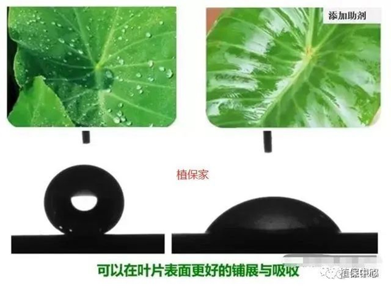 農（nóng）藥成分和含量一模一樣，為（wéi）啥（shá）效果差別那麽大？(圖2)