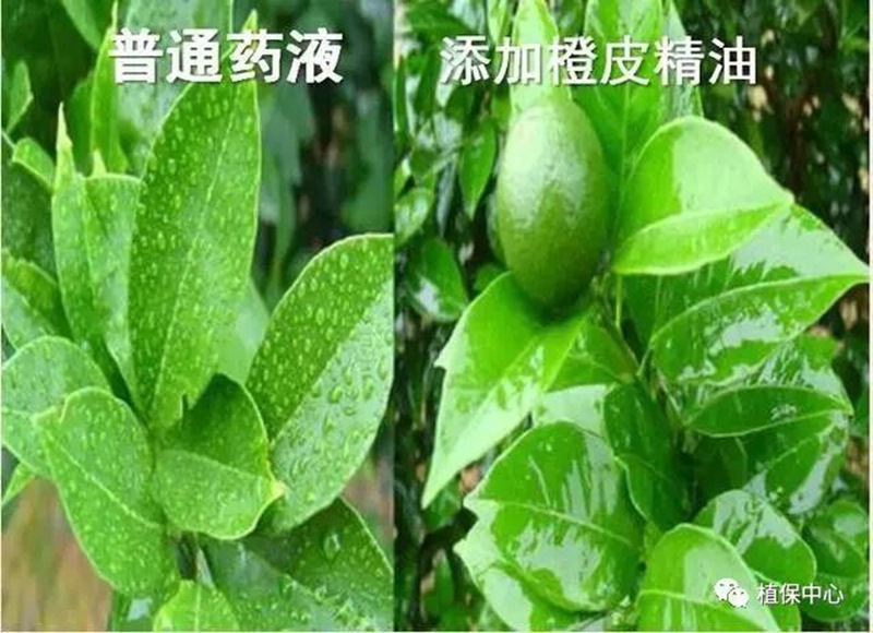 農藥(yào)成分和含(hán)量一模(mó)一樣,為啥效果差別那麽大?(圖3) 農藥成分和含量(liàng)一模一樣(yàng),為啥效果差別那麽大?(圖3)